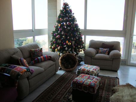 Christmas on my tree…